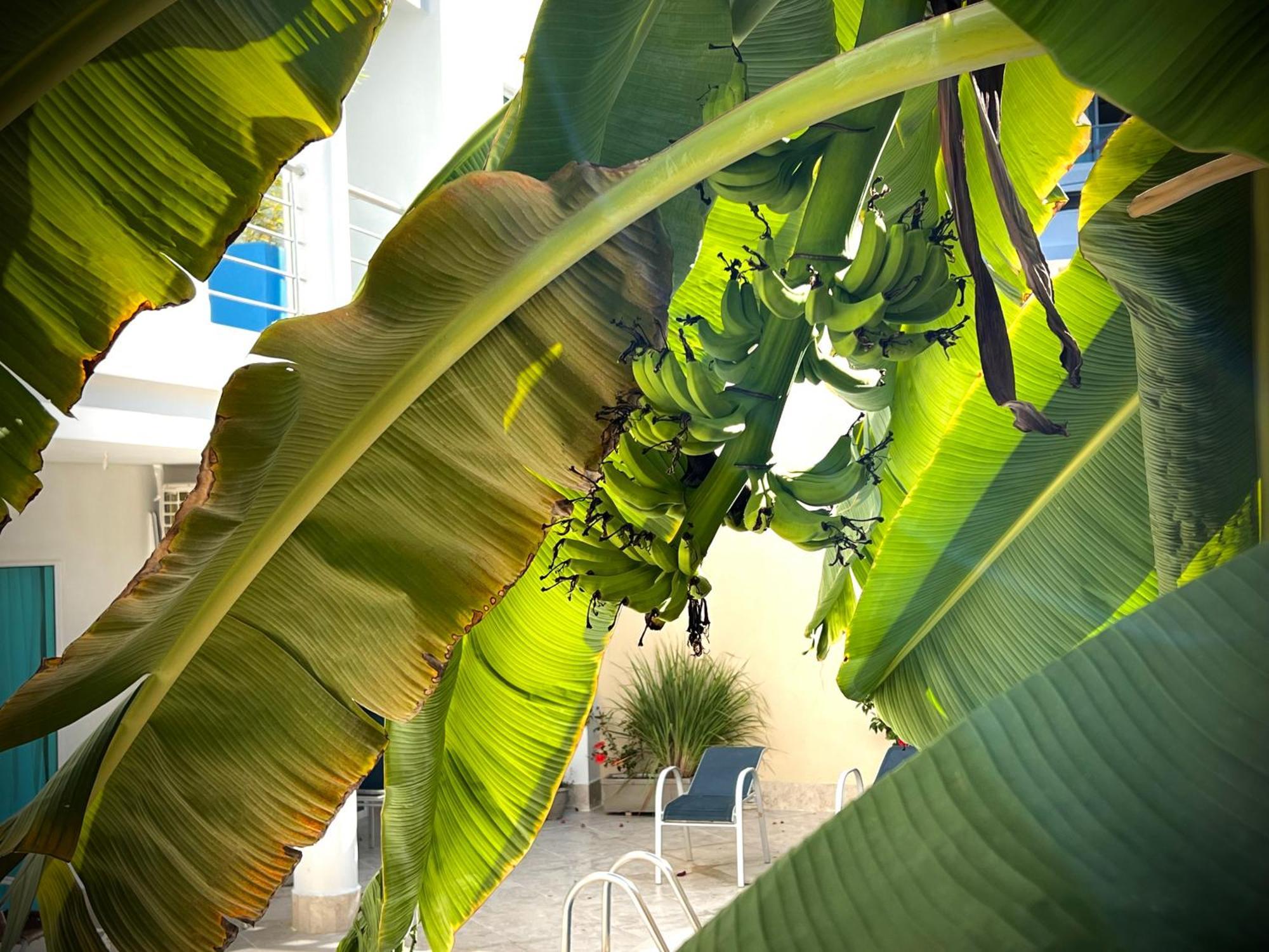 Charme 64 Hotel Boutique Cartagena Exteriér fotografie